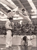 exhibición de taekwondo
